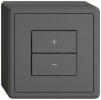 Station secondaire variateur AP EDIZIO.liv Wiser SNAPFIX® 2 touches WLAN grf