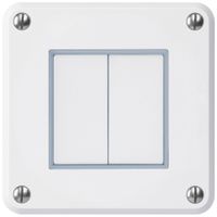 UP-Drucktaster robusto IP55 2×1P weiss