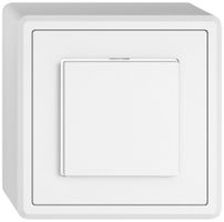 AP-Leuchtdruckschalter EDIZIO.liv SNAPFIX® 3/2L Seitenlinse KS weiss ws