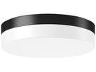 LED-Anbauleuchte RZB FLAT SLIM 26W 2500lm 830/840 IP65 Ø300 anthrazit