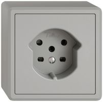 AP-Steckdose EDIZIO.liv SNAPFIX® 1×T15 hgu