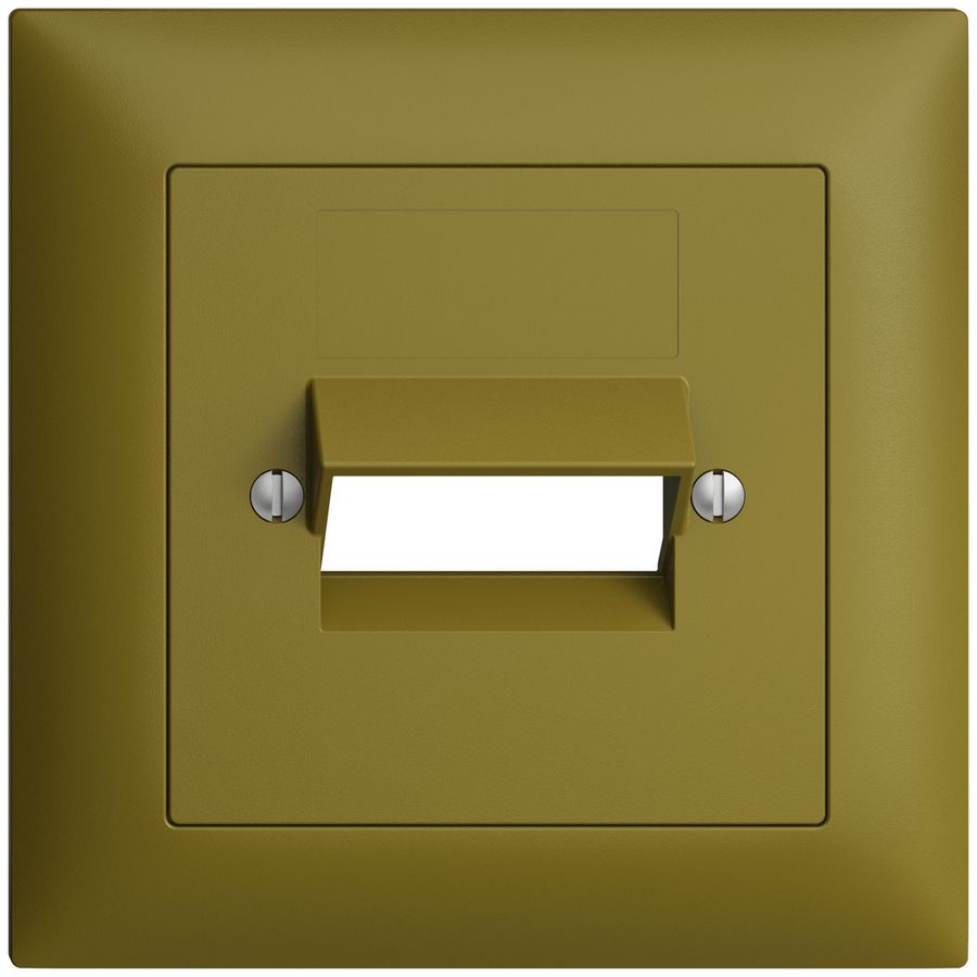 Kit frontal EDIZIOdue olive 88×88mm 2×RJ45