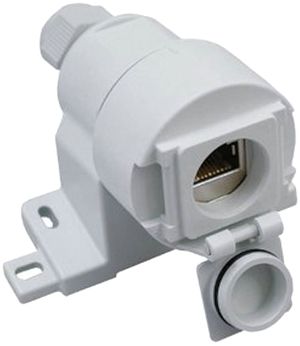 AP-Gehäuse Dätwyler, inkl. Modul MS-C6a Cat.6a