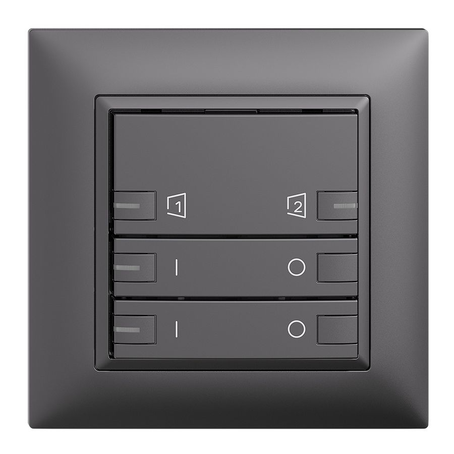 UP-Frontset EDIZIOdue zeptrionAIR ON/OFF 2K S1/S2 mit LED dunkelgrau