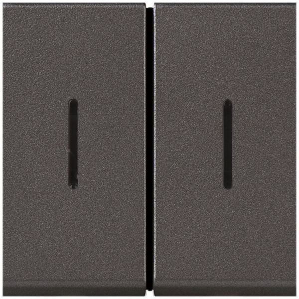 Contact à bascule INC MOS 2×AR 6A magnésium 2modules