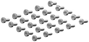 Schraube Rittal VX 5050.698 16mm TX M6 Flachrundkopf