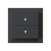 Storentaster kallysto schwarz mit 2 Funktionstasten Steckklemme