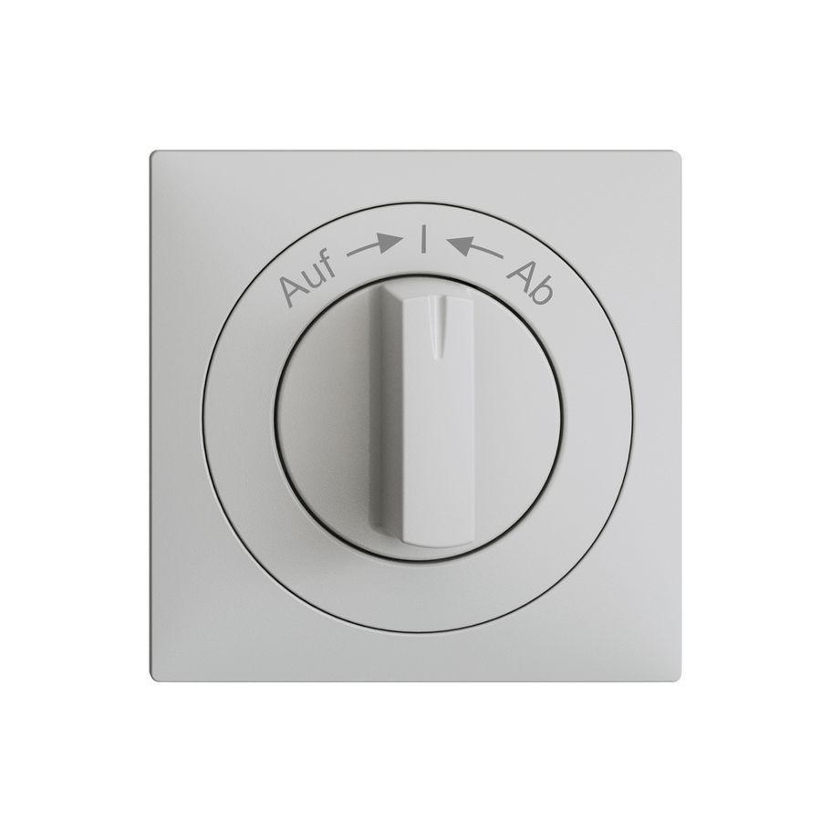 Frontset EDIZIOdue Auf->I<-Ab hellgrau 60×60mm für Schwenktaster