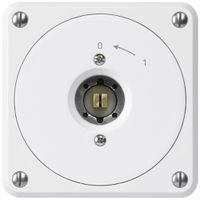 UP-Steckschlüsselschwenktaster robusto weiss ohne Deckel 2P Kombi Vierkant