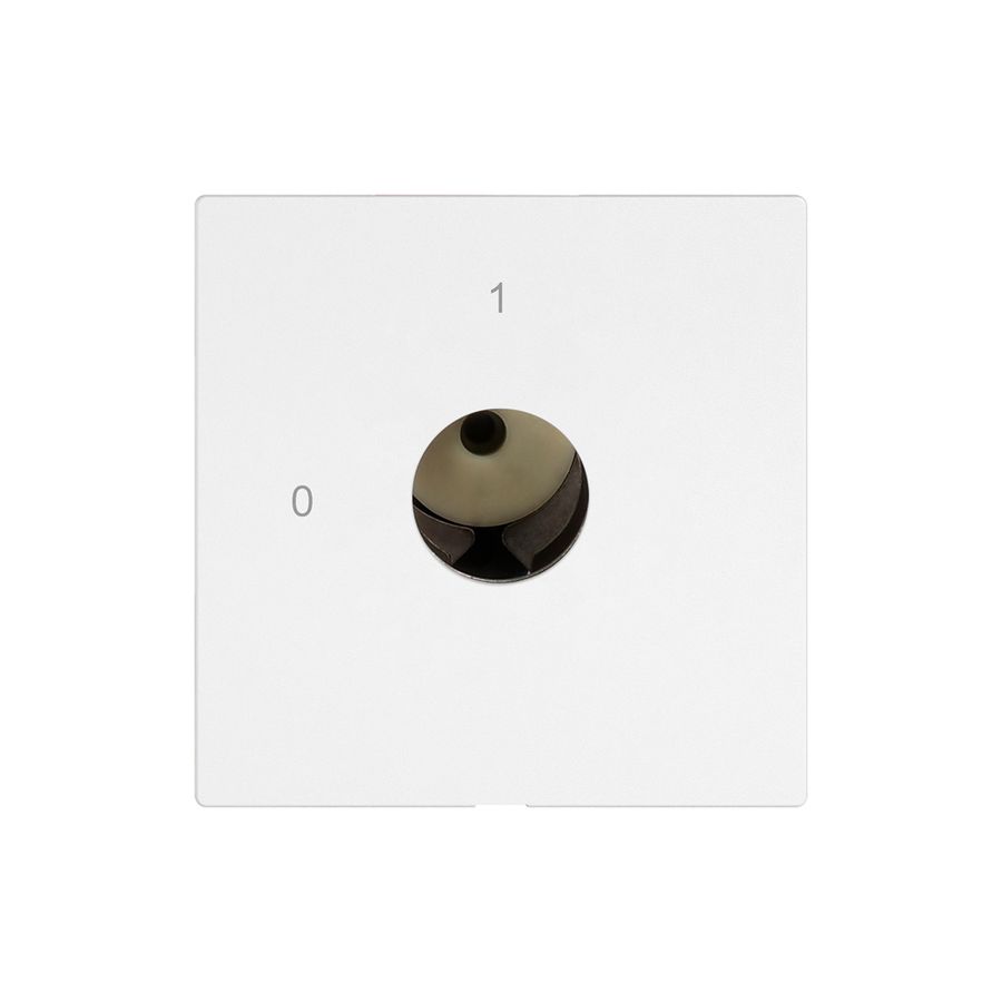 Interrupteur à clé EDIZIO.liv pour KABA 1514 1P 0-1 p=67mm bc