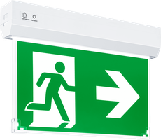 LED-Anbau-Fluchtwegeleuchte Nina 30m Selbsttest E3 LiFePO4