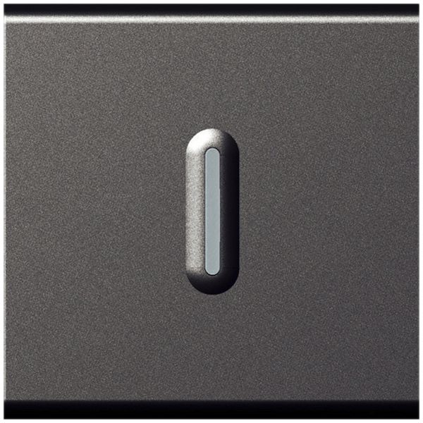 Contact à bascule lum.INC MOS ARL 6A magnésium 2modules