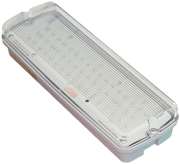 Luminaire de voie de secours LED DOTLUX EXIT IP65 3.8W 3h cp/cv ac mur/plafond