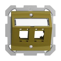 Kit montaggio ENC EDIZIOdue, con cappa di uscita obliqua, per 2×RJ45, olive