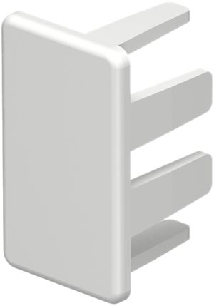 Plaque de fermeture Bettermann pour canal d'installation WDK blanc pur 15×30mm