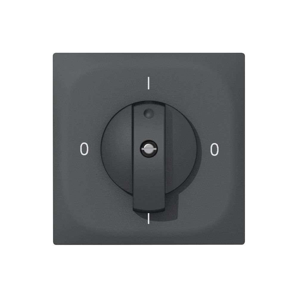 Interruttore rotativo INC SIDUS E 0/2L antracite