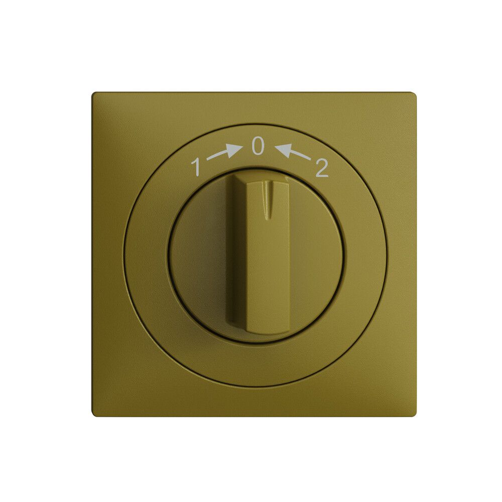 Frontset EDIZIOdue 1->0<-2 olive 60×60mm für Schwenktaster