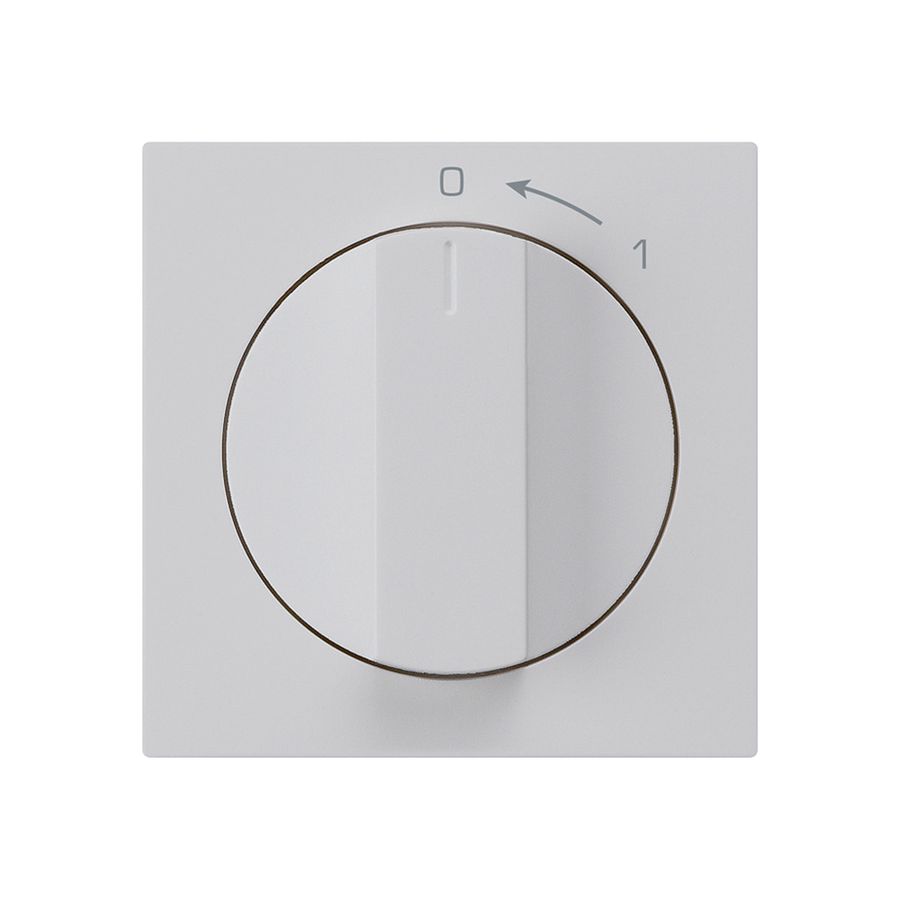 Frontset für Schwenktaster hellgrau 60×60mm kallysto 0<-1