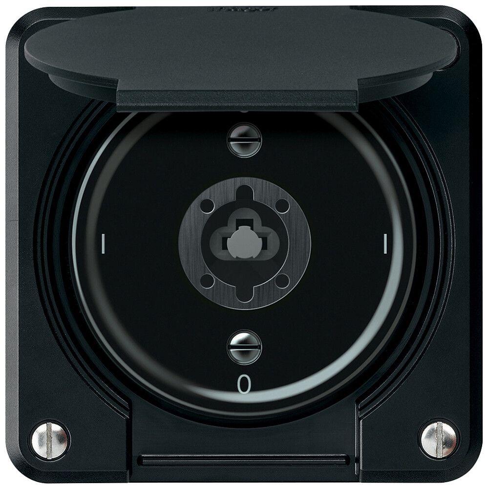 Interrupteur à clé robusto interrupteur 2×1 pôle 16A 250V 86×86mm noir