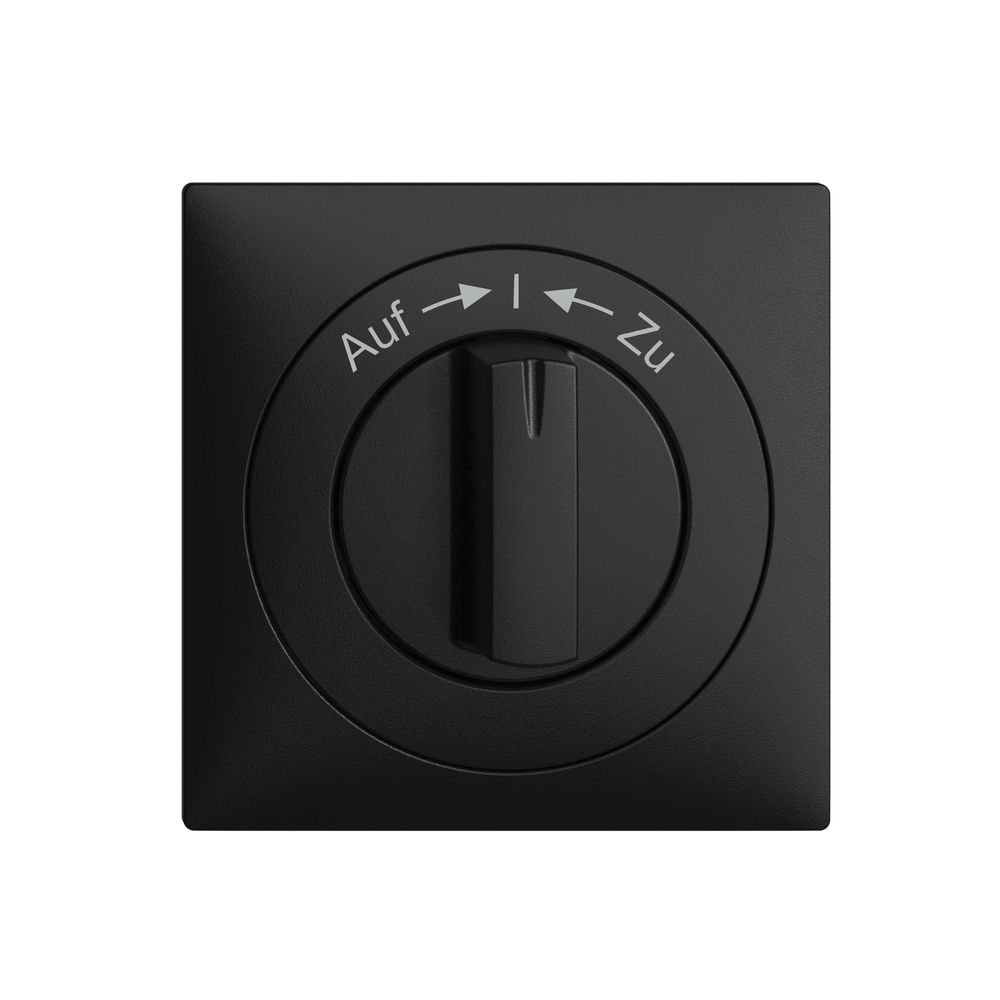 Frontset EDIZIOdue Auf->I<-Zu schwarz 60×60mm für Schwenktaster