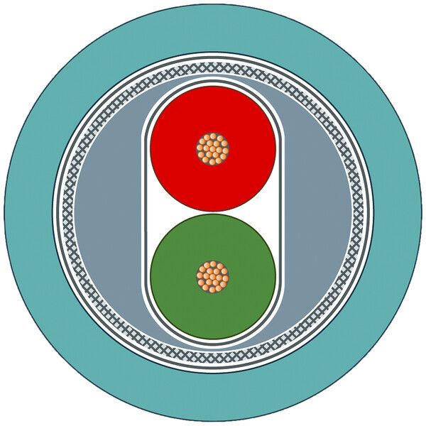 Cavo bus Siemens PROFIBUS FC Trailing 1×2×0.65 schermato PUR Eca petrolio