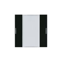 Tasterfront Hager basico KNX 2-fach LED schwarz 45×45mm