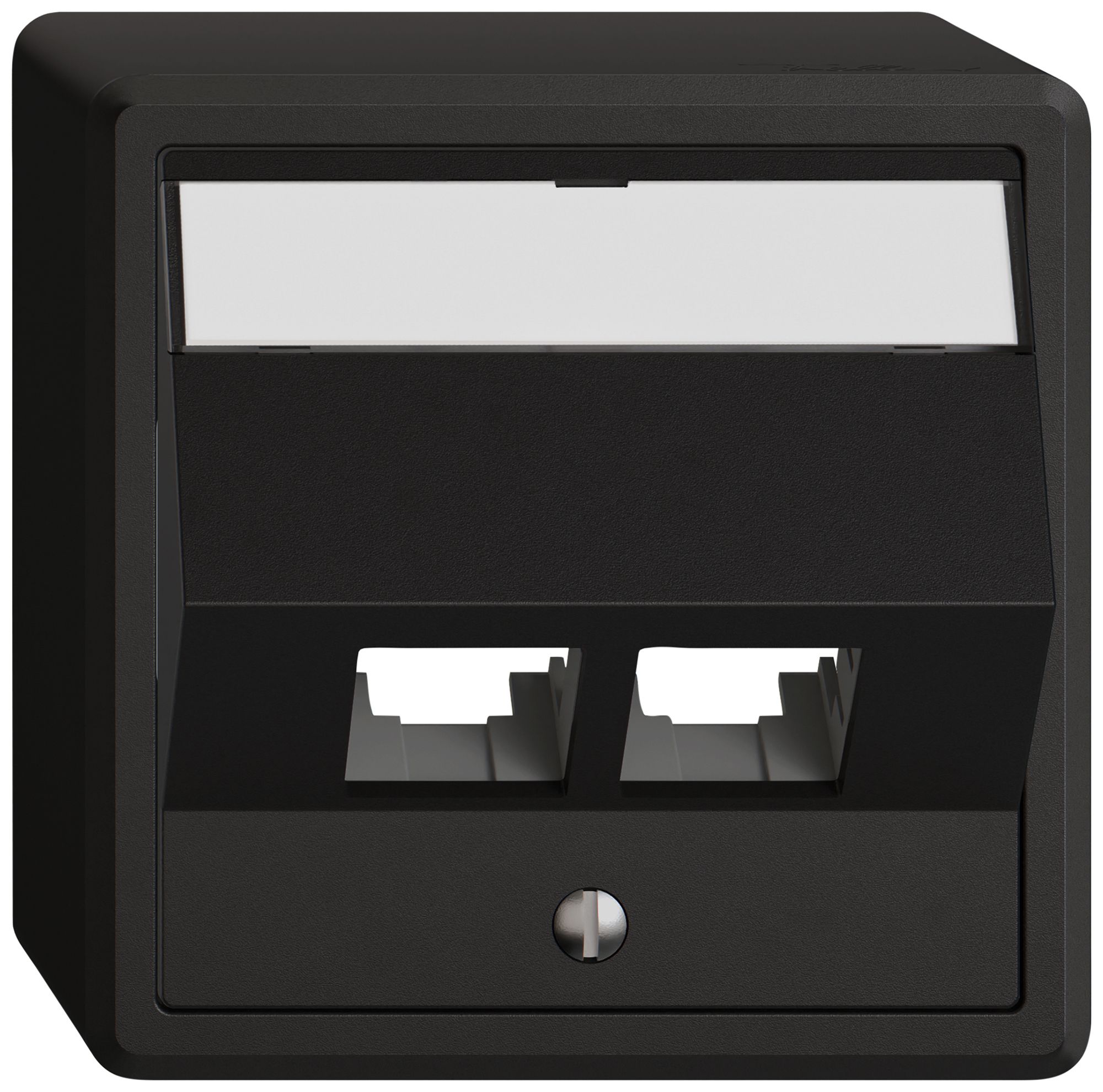 AP-Montageset EDIZIO.liv EASYNET S-One SNAPFIX® schräg 2×RJ45 sz