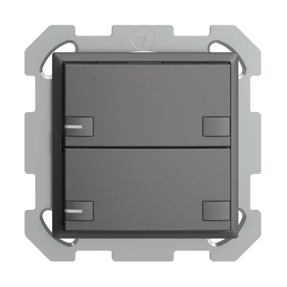 UP-Taster KNX 2-fach EDIZIOdue colore dunkelgrau RGB mit LED