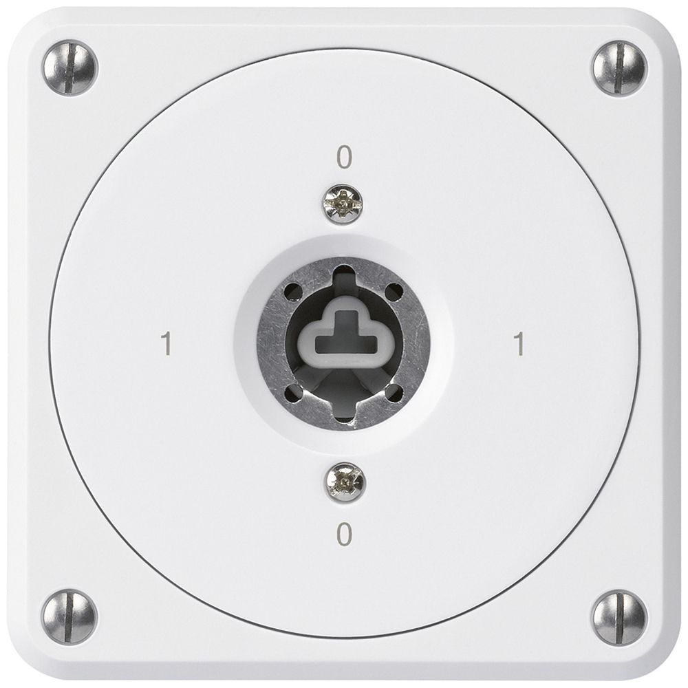 Interrupteur à clé ENC robusto sans clapet sans cylindre 0/1P blanc combinaison