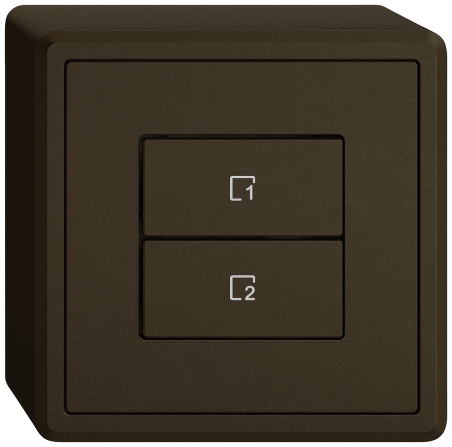 Poussoir scènes AP EDIZIO.liv Wiser SNAPFIX® 2 scènes 2 touches br