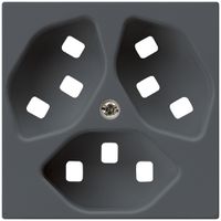 Frontplatte zu Steckdose Hager kallysto 3×T23 H anthrazit