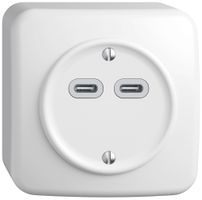 AP-USB-Ladesteckdose STANDARDdue SNAPFIX® 230V AC 18W 2×USB Typ C ws