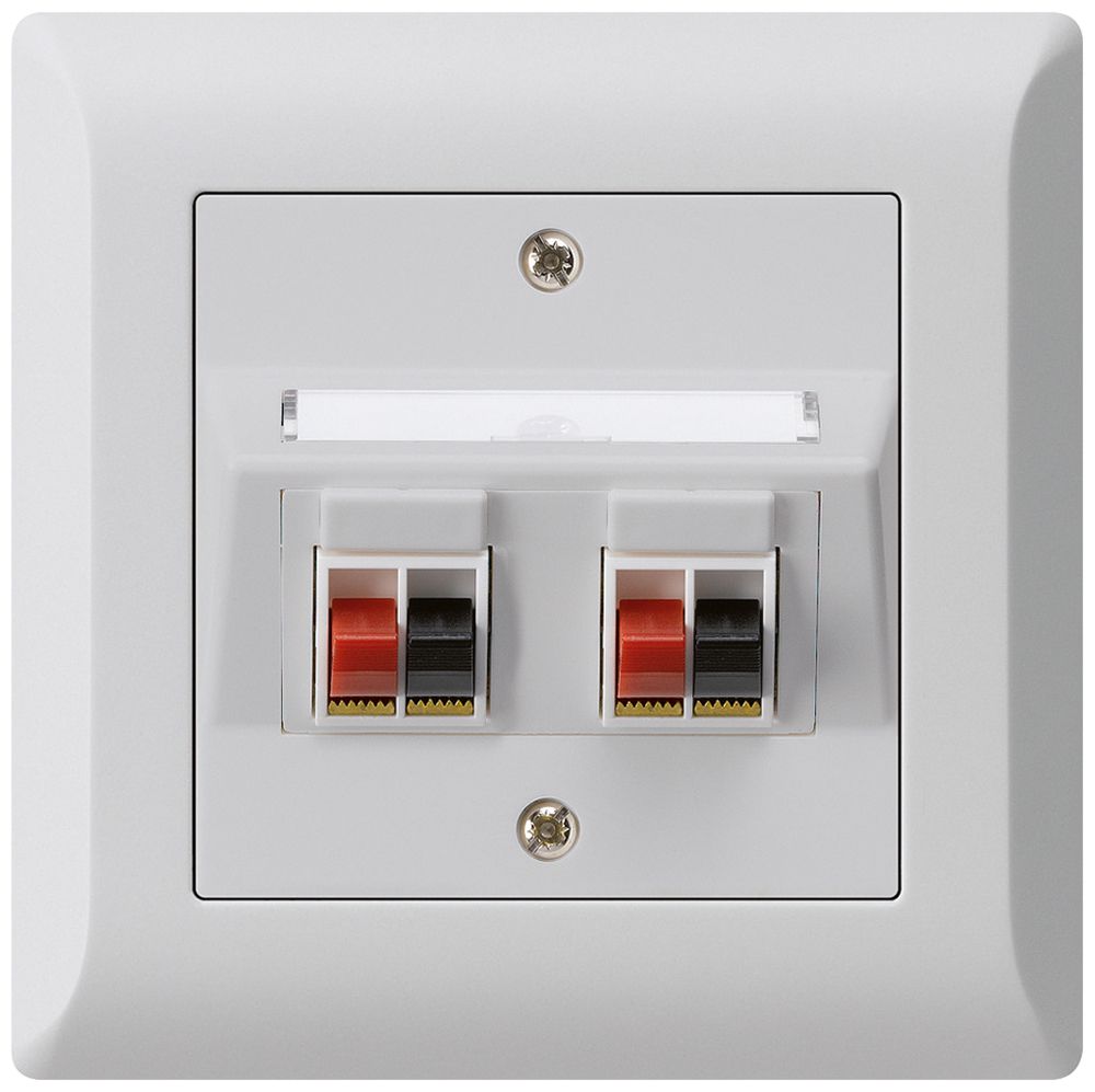 Prise ENC audio kallysto.line 2× gris clair borne à étrier pour 2 haut-parleurs