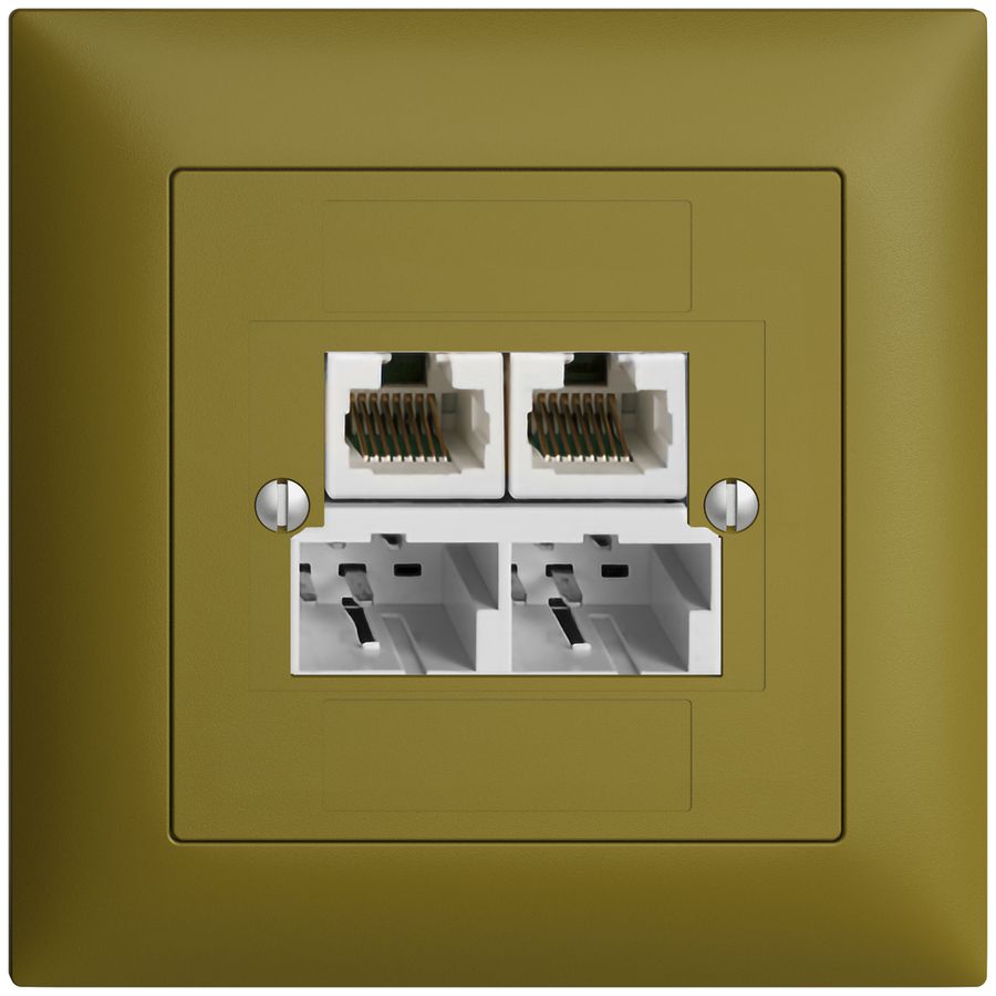 Boîte ENC SOHO 2×TT/2×RJ45/u sép.ITplus EDIZIOdue olive