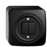AP-Taster STANDARDdue 2×A-R/1P schwarz