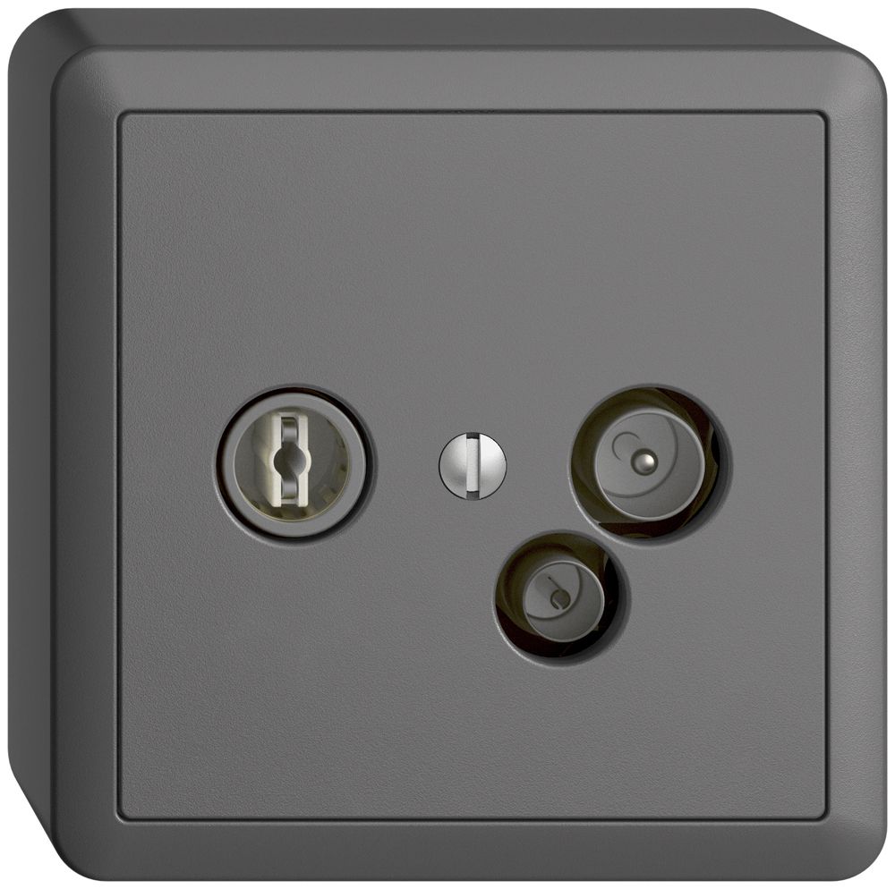 AP-Datendose TV-R DD04 5…65MHz EDIZIOdue dunkelgrau