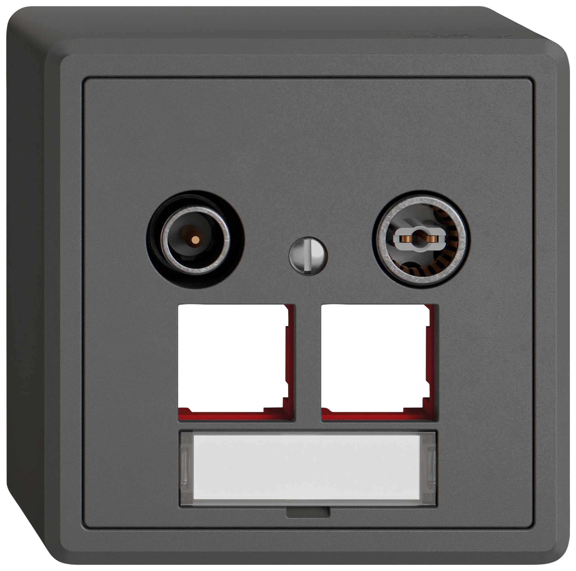 Prise multimédia AP TV-R EDIZIO.liv SNAPFIX® EASYNET p.2×RJ45 S-One 4dB grf