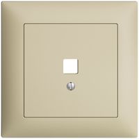 UP-Frontset EDIZIOdue vanille 88×88mm für Datenschnittst.USB