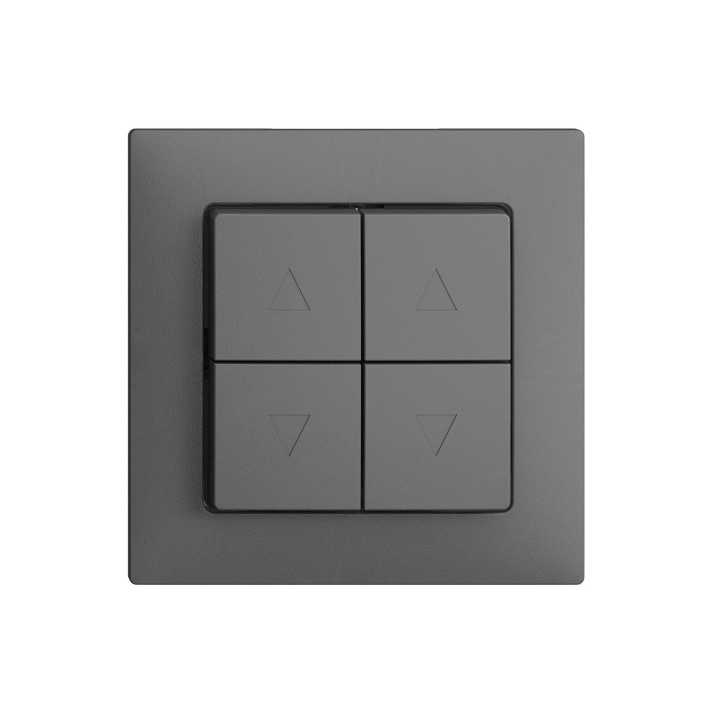 UP-Storentaster EDIZIOdue F dunkelgrau 2-Kanäle