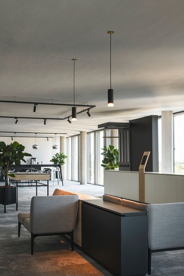 EB-Deckenrosette SLV FITU 3-polig Ø85mm gold