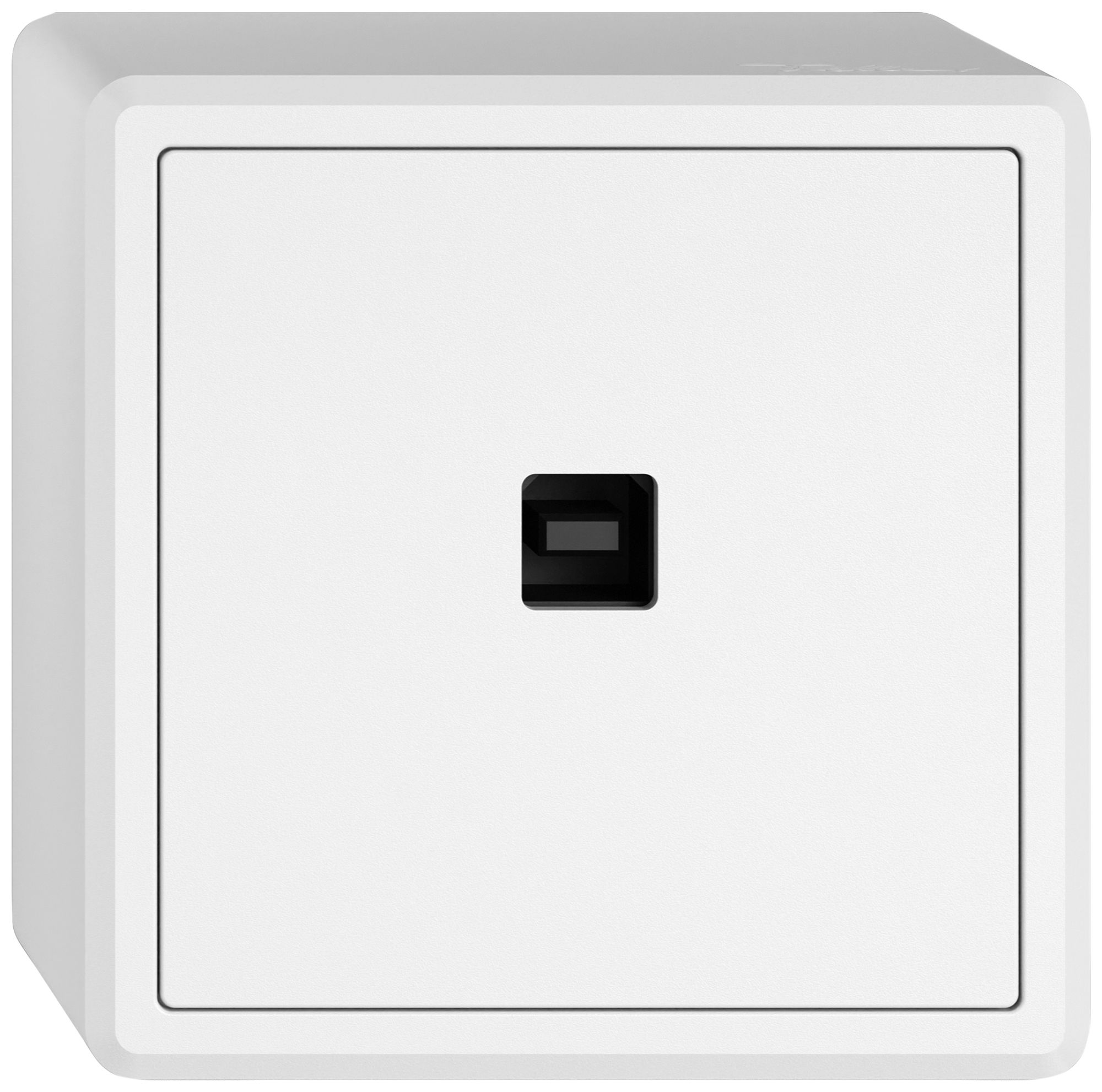 Interface de données USB KNX AP EDIZIO.liv SNAPFIX® prise USB type B bc