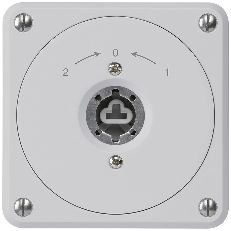 UP-Schlüsselschwenktaster robusto grau o.Deckel o.Zylinder Wechs.Kombination