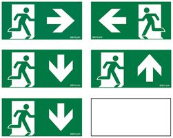 Set de pictogrammes ESYLUX SLE 30m flèche d/g/2×b/h 300×150mm