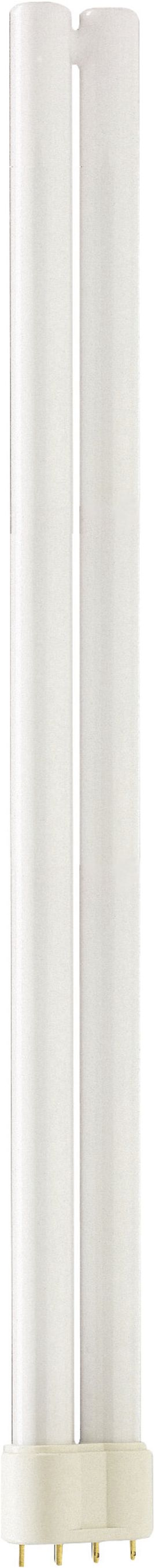 Lampe fluocompacte Philips MASTER PL-L 4P 36W/830