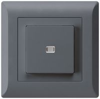 UP-Leuchttaster kallysto.line ARK 2L anthrazit