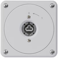 UP-Schlüsselschwenktaster robusto grau o.Deckel o.Zylinder 1P für Kombination