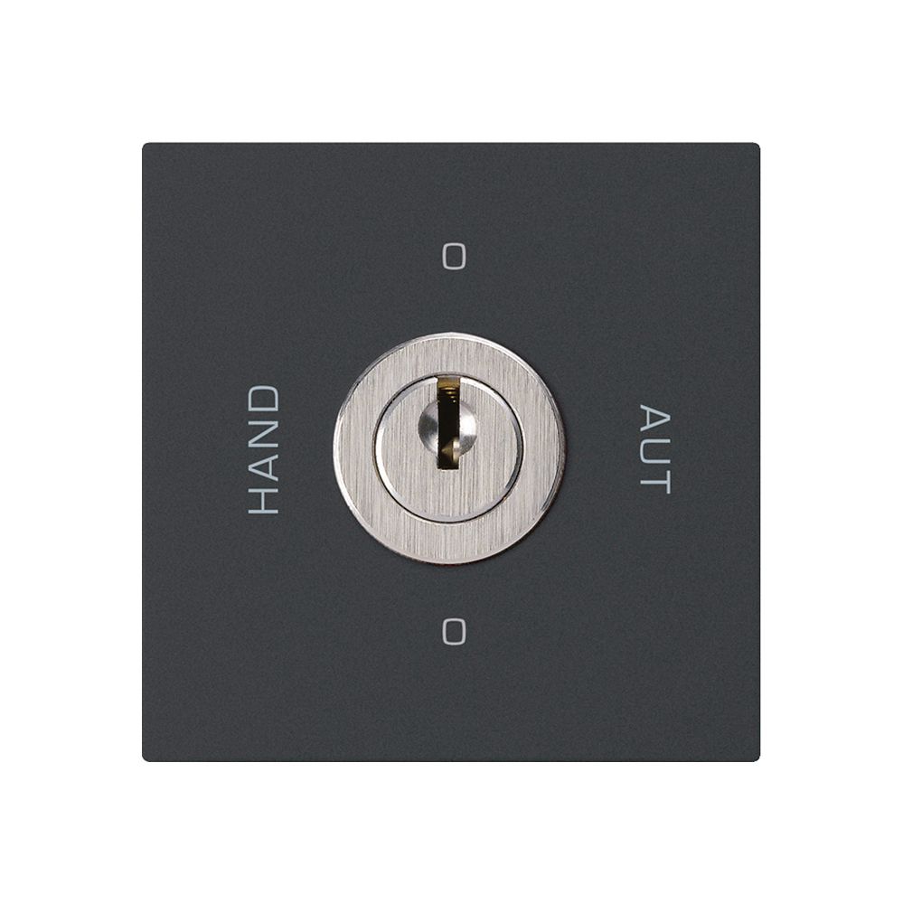 Intérieur interrupteur à clé 0-Hand-0-Aut. kallysto 2/1L noir avec serrure