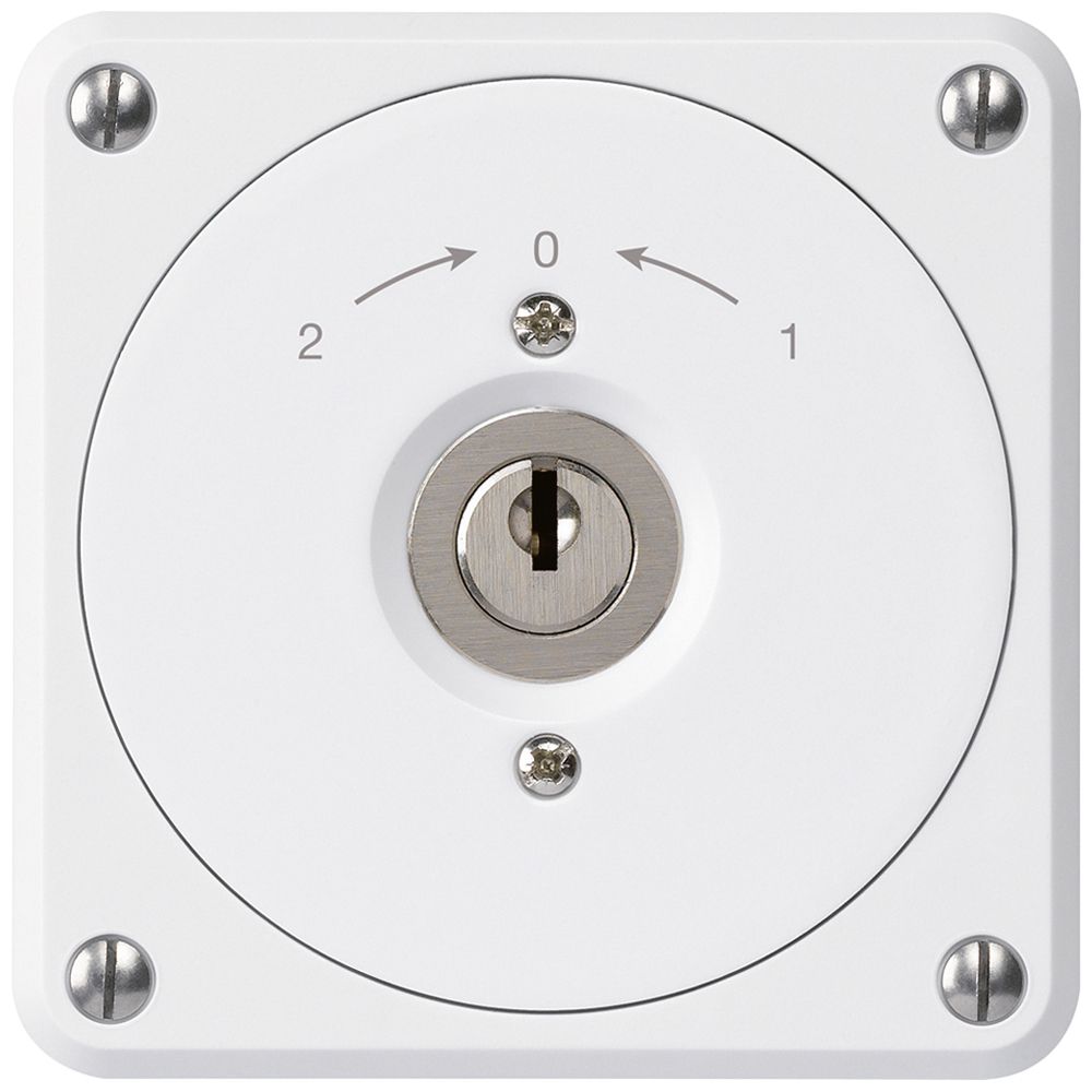 UP-Schlüsselschwenktaster robusto weiss ohne Deckel Wechsler