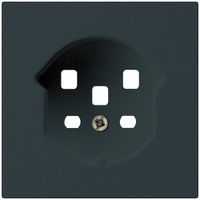 Frontplatte kallysto T25 schwarz 60×60mm für Steckdose T25