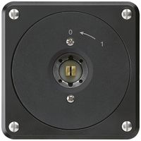 UP-Steckschlüsselschwenktaster robusto schwarz ohne Deckel 2P Kombi Vierkant